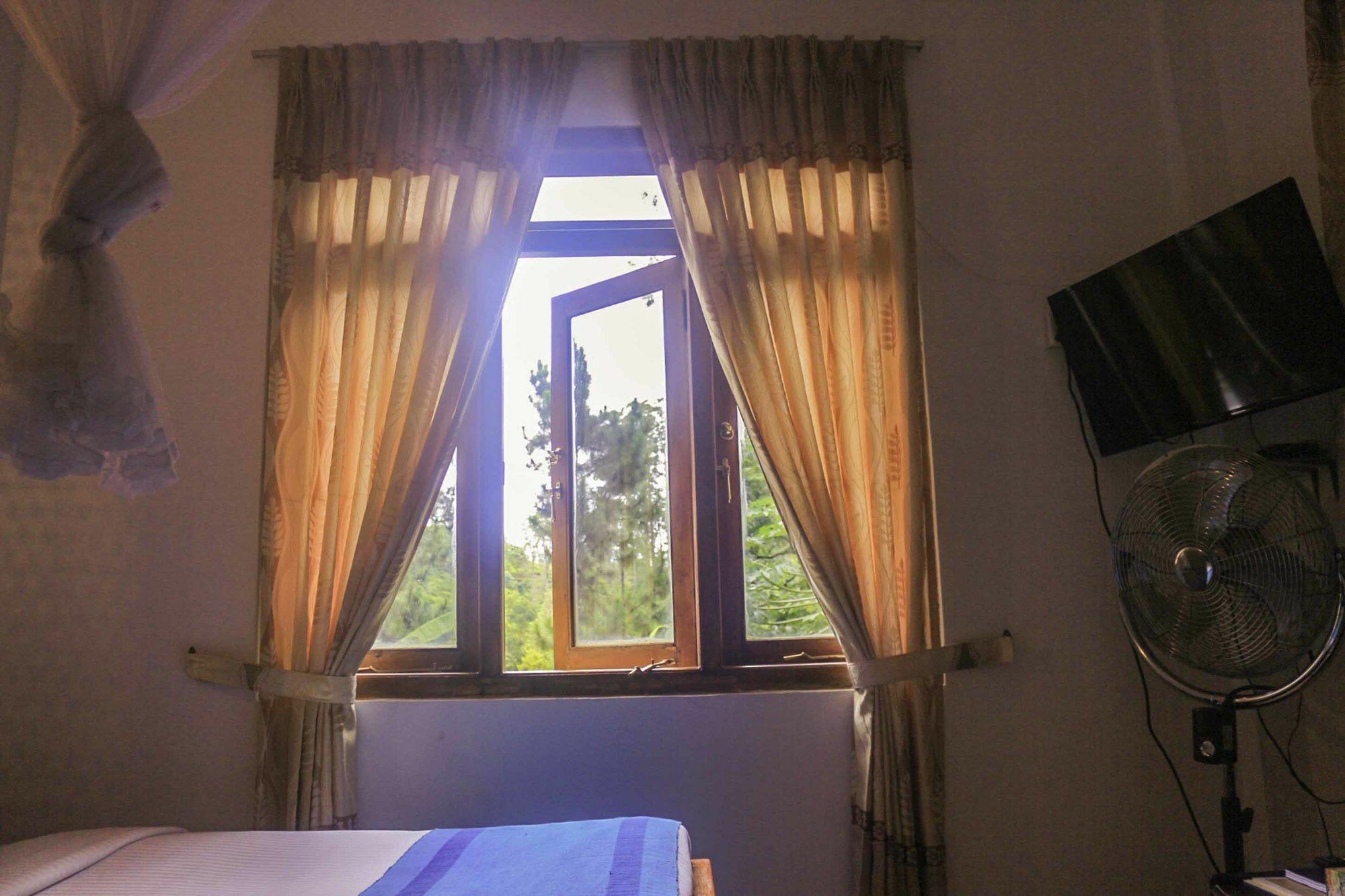 Eden Garden Way Apartment Ела Екстериор снимка